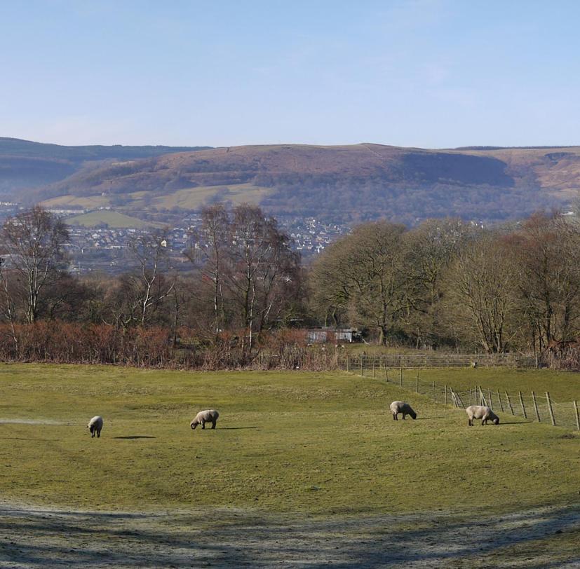 Tunnel Cottages At Blaen-Nant-Y-Groes Farm Aberdare Exterior photo