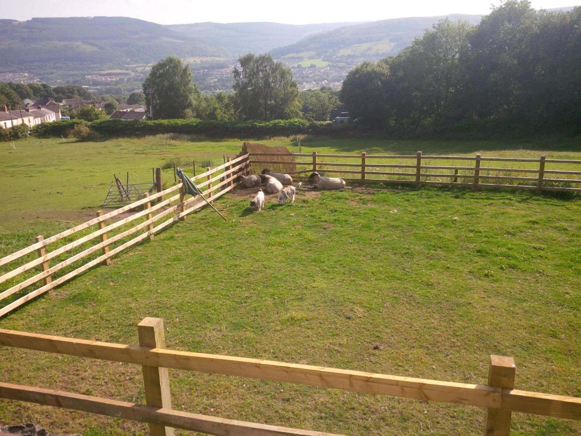 Tunnel Cottages At Blaen-Nant-Y-Groes Farm Aberdare Room photo