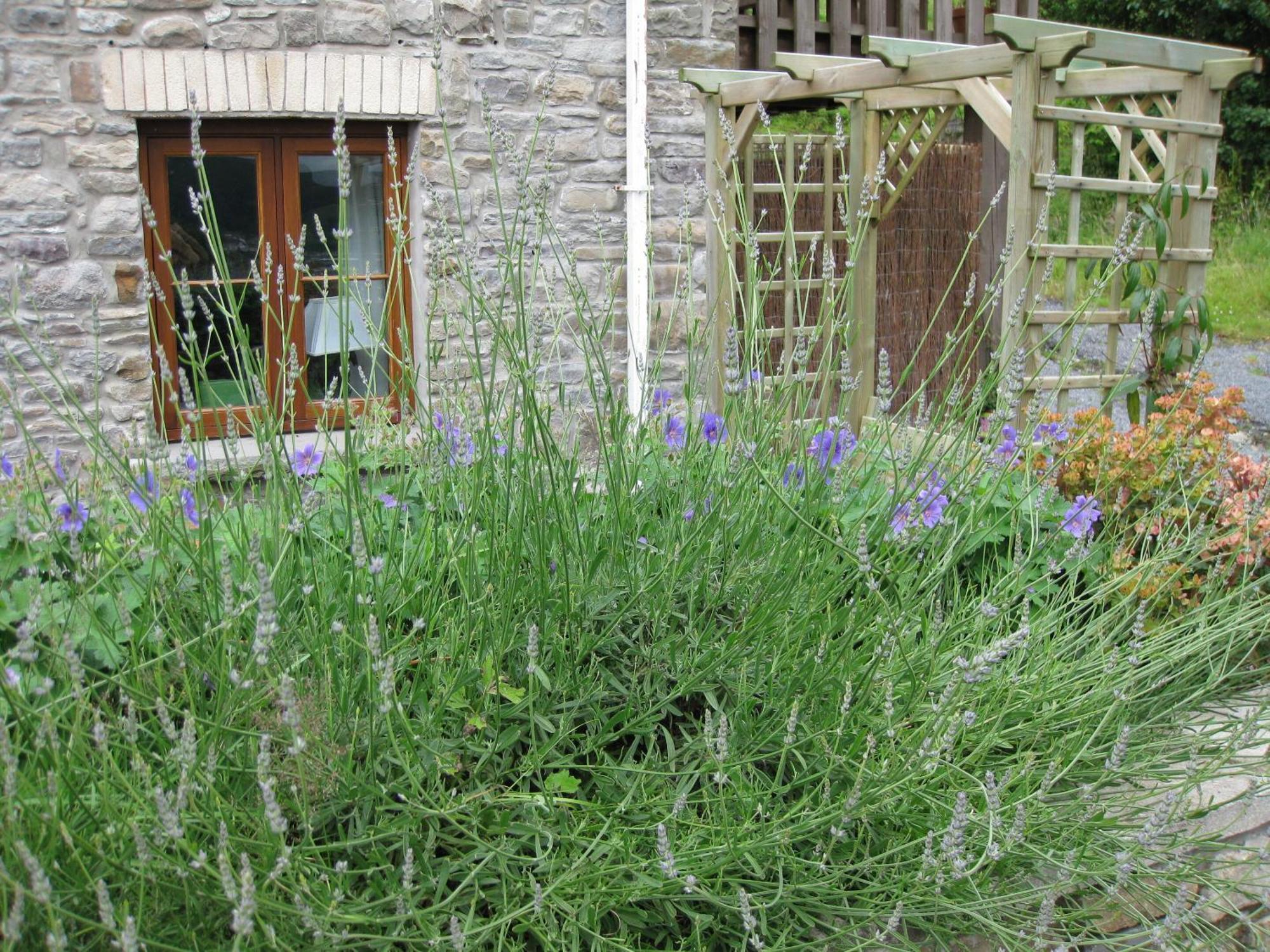 Tunnel Cottages At Blaen-Nant-Y-Groes Farm Aberdare Room photo
